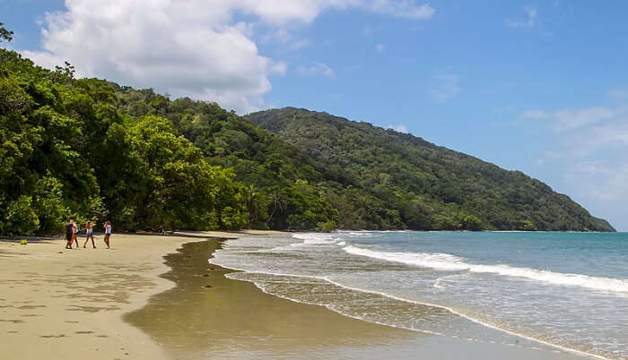 Cape Tribulation