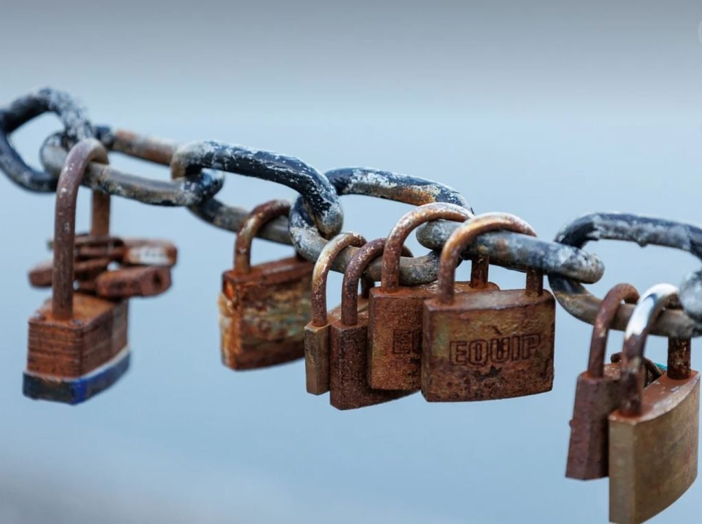 Padlocks on a gate.